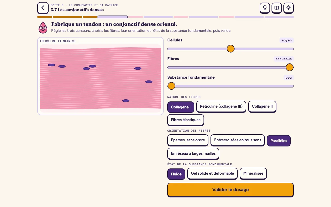 Lame 3.7 : le dosage de la matrice pour fabriquer un tendon, trois curseurs, la nature des fibres, leur orientation, et l’aperçu de la matrice obtenue