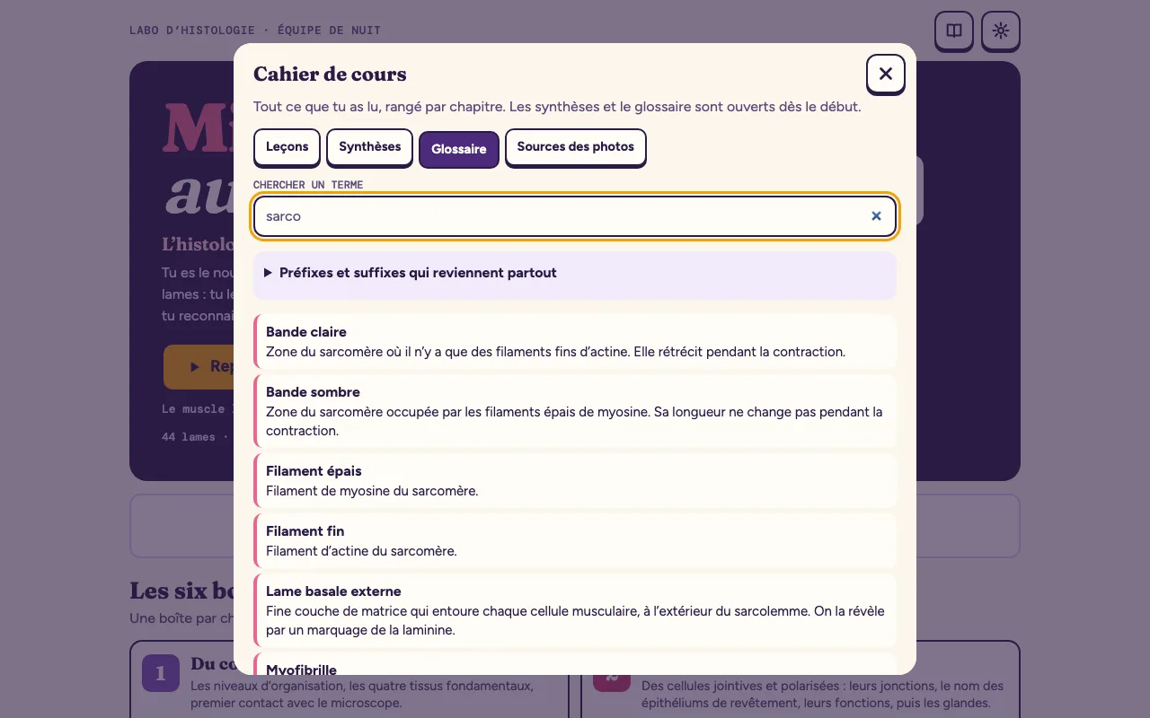 Le glossaire du cahier : la recherche « sarco » et les termes qu’elle trouve, de « Bande claire » à « Myofibrille »