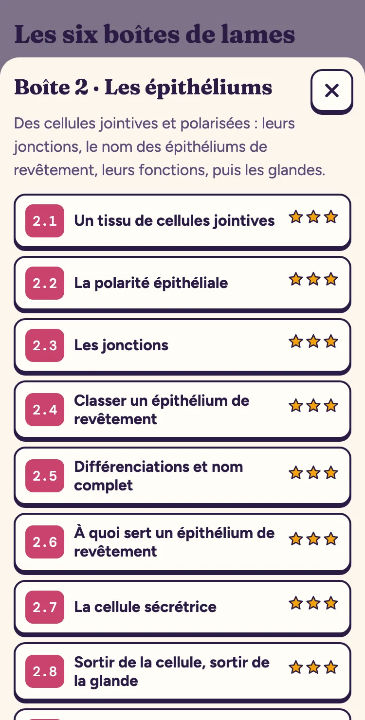 Sur téléphone : la boîte 2 ouverte et la liste de ses lames