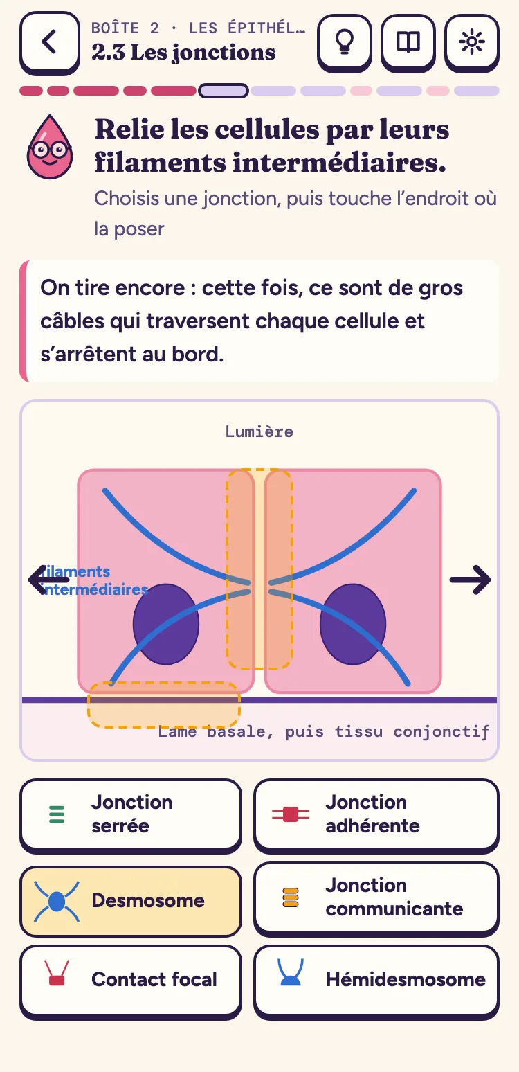 Sur téléphone : deux cellules que l’on écarte et le plateau des six jonctions