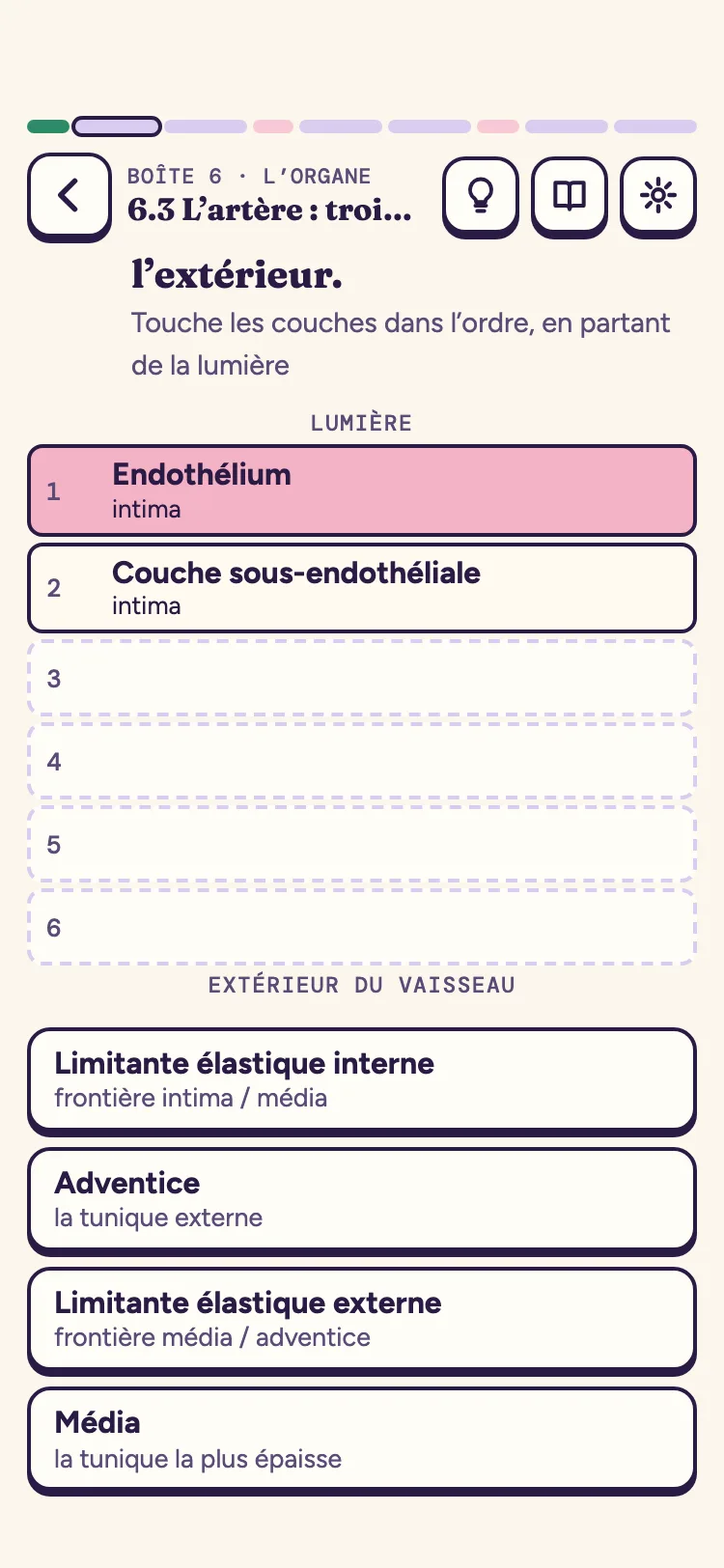 Sur téléphone : la paroi d’une artère à remonter couche par couche
