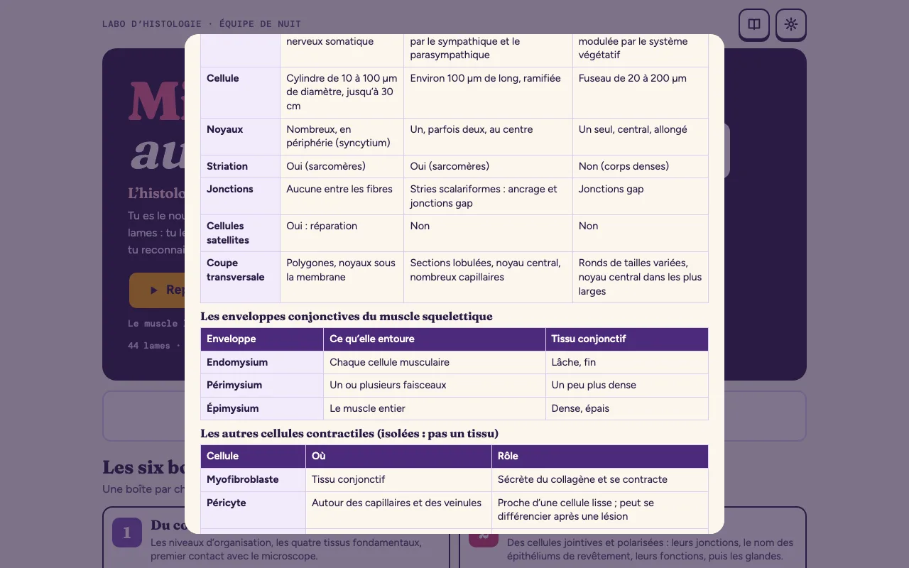 Une synthèse du cahier : le tableau comparatif des trois tissus musculaires et celui des enveloppes du muscle squelettique
