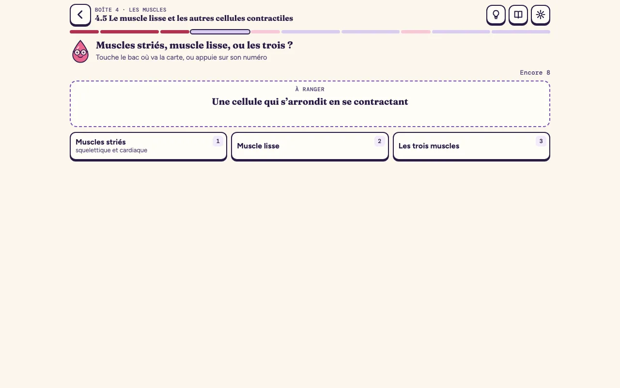 Lame 4.5 : une carte à ranger, « Une cellule qui s’arrondit en se contractant », et trois bacs numérotés